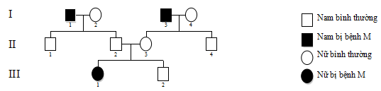 Đề thi thử đại học môn sinh