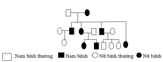 Đề thi thử đại học môn sinh