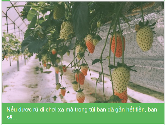 Khả năng chống lại cám dỗ của bạn là bao nhiêu?