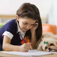 Đề thi học kỳ 2 môn Tiếng Anh lớp 5 trường Tiểu học Chánh Lộ, Quảng Ngãi năm học 2014 - 2015