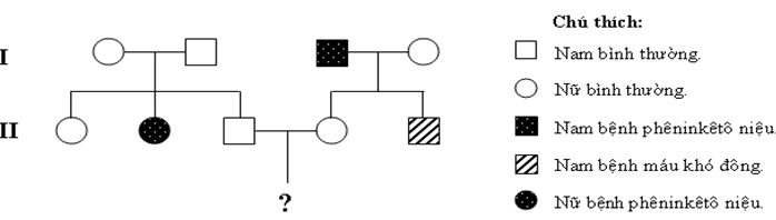Đề thi thử đại học môn sinh