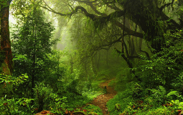 Luyện đọc tiếng Anh