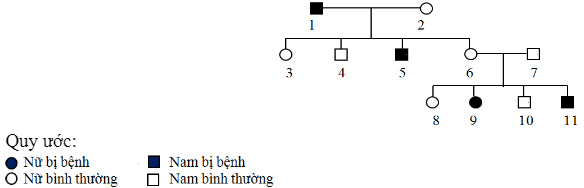 Đề thi thử đại học môn sinh