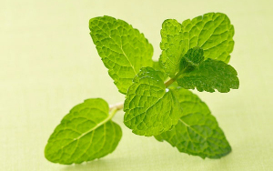 Trắc nghiệm tính cách 