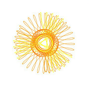 Trắc nghiệm tính cách