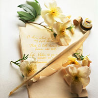 Trắc nghiệm vui: Bạn sẽ cất lá thư ở đâu?