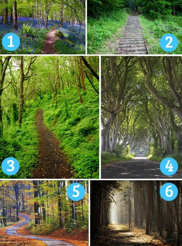 Hãy chọn một con đường, tôi sẽ đoán tính cách của bạn