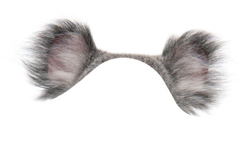 Nhìn hình đoán tên động vật 