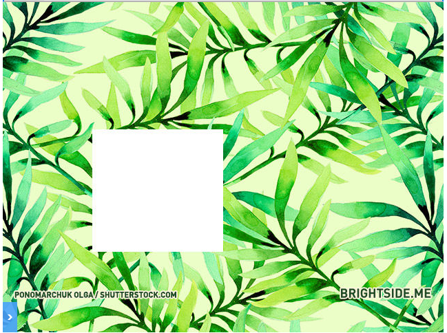 Trắc nghiệm vui: Thử tài tinh mắt