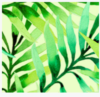 Trắc nghiệm vui: Thử tài tinh mắt