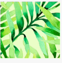 Trắc nghiệm vui: Thử tài tinh mắt