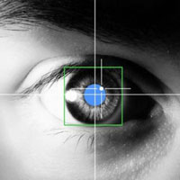 Bạn nhìn thế giới với đôi mắt nào?