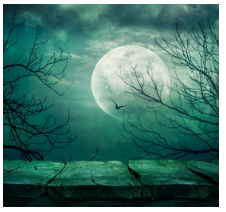 Bạn nhìn thế giới với đôi mắt nào?