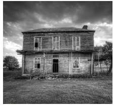 Bạn nhìn thế giới với đôi mắt nào?