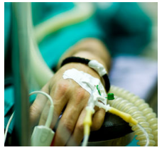 Bạn nhìn thế giới với đôi mắt nào?