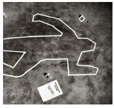 Bạn nhìn thế giới với đôi mắt nào?