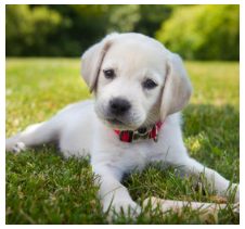 Bạn nhìn thế giới với đôi mắt nào?