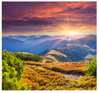 Bạn nhìn thế giới với đôi mắt nào?