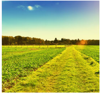 Bạn nhìn thế giới với đôi mắt nào?