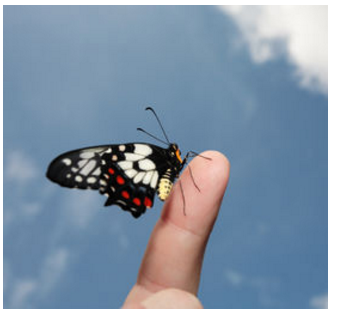 Bạn nhìn thế giới với đôi mắt nào?