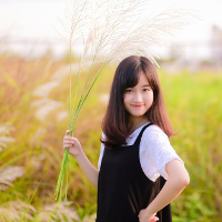 Đề thi tuyển sinh vào lớp 10 môn Tiếng Anh năm học 2016-2017 Sở GD-ĐT An Giang