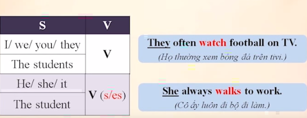 Thì hiện tại đơn(Simple Present): Công thức, các dùng và dấu hiệu Dấu hiệu nhận biết của thì hiện tại đơn