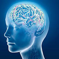 Bạn có khả năng chinh phục được 10 câu hỏi IQ hại não này?