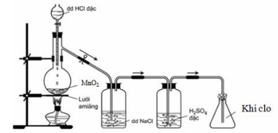 Đề thi thử đại học môn sinh