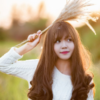 Đề thi tuyển sinh vào lớp 10 môn Tiếng Anh năm học 2016 - 2017 Sở GD-ĐT Hà Nội