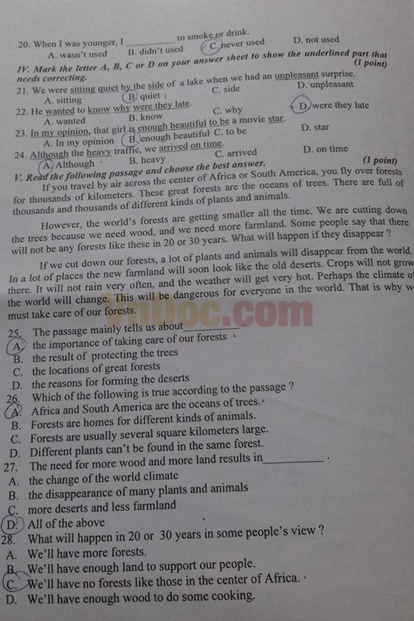 Đề thi vào lớp 10 môn Tiếng Anh