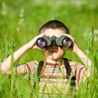 Thử tài tinh mắt: Phân biệt màu xám và ghi trong 7 bức hình