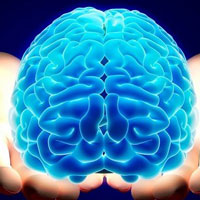 Trắc nghiệm tư duy logic "xoắn não"