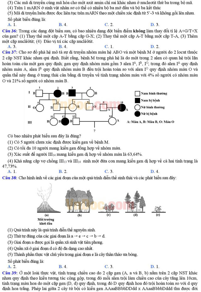 Đề thi thử THPT Quốc gia môn Sinh học năm 2016 trường THPT Chuyên Đại học Khoa học Huế