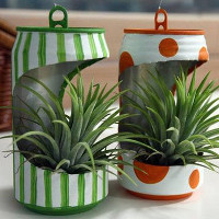 Tiết lộ con người thật của bạn qua những chậu cây