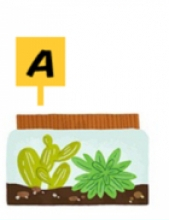 Trắc nghiệm tính cách