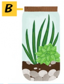 Trắc nghiệm tính cách