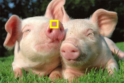 phân biệt màu sắc 