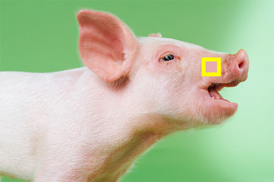 phân biệt màu sắc 