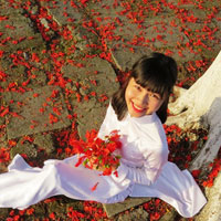 Đề thi thử THPT Quốc gia môn Ngữ văn năm 2016 trường THPT Ngô Gia Tự, Vĩnh Phúc (Lần 4)