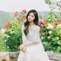 Đề thi thử THPT Quốc gia môn Tiếng Anh năm 2016 trường THPT Nguyễn Trãi, Hà Nội