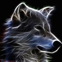 Loài vật nào ngủ quên trong tâm hồn bạn?