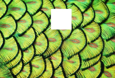 Thử tài tinh mắt 