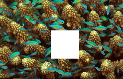 Thử tài tinh mắt 