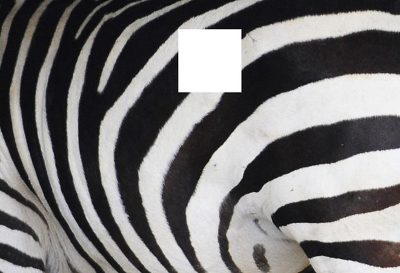 thử tài tinh mắt 