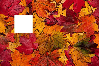 thử tài tinh mắt 