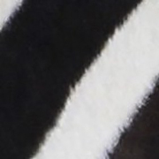 thử tài tinh mắt 