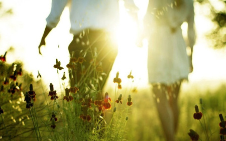 Trắc nghiệm tình yêu 