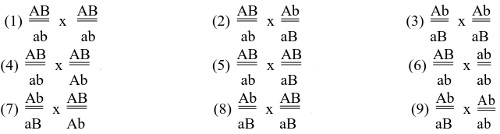 Đề thi thử đại học môn sinh 