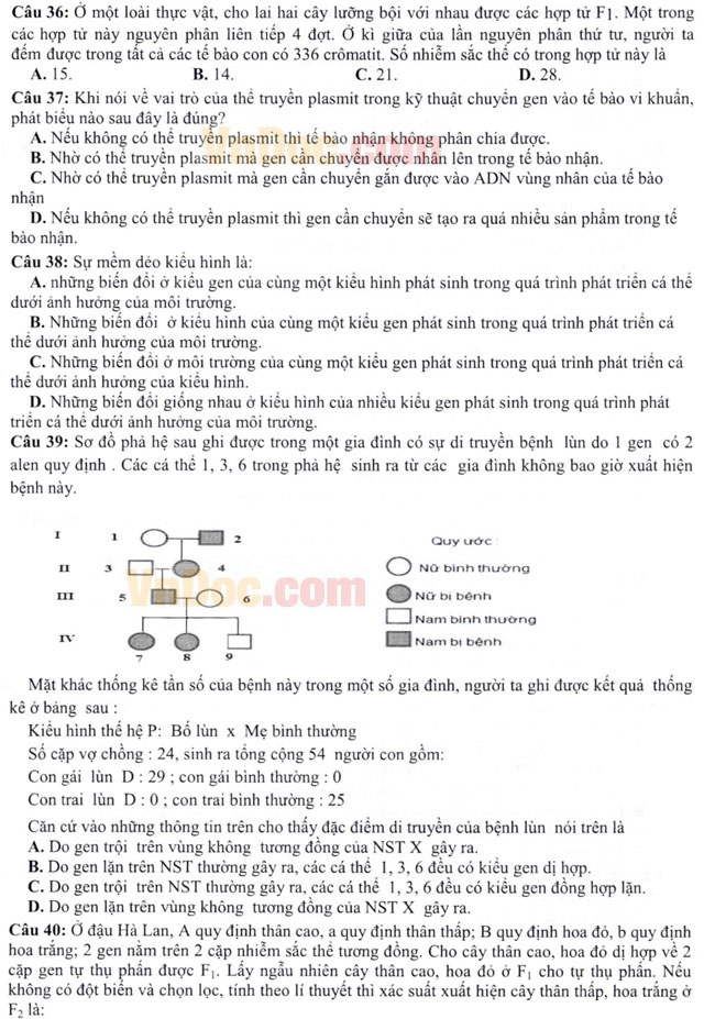 Đề thi thử THPT Quốc gia môn Sinh học năm 2016 cụm trường Bà Rịa - Tân Thành