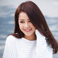 Bộ đề thi thử THPT Quốc gia năm 2016 môn Tiếng Anh - Số 14